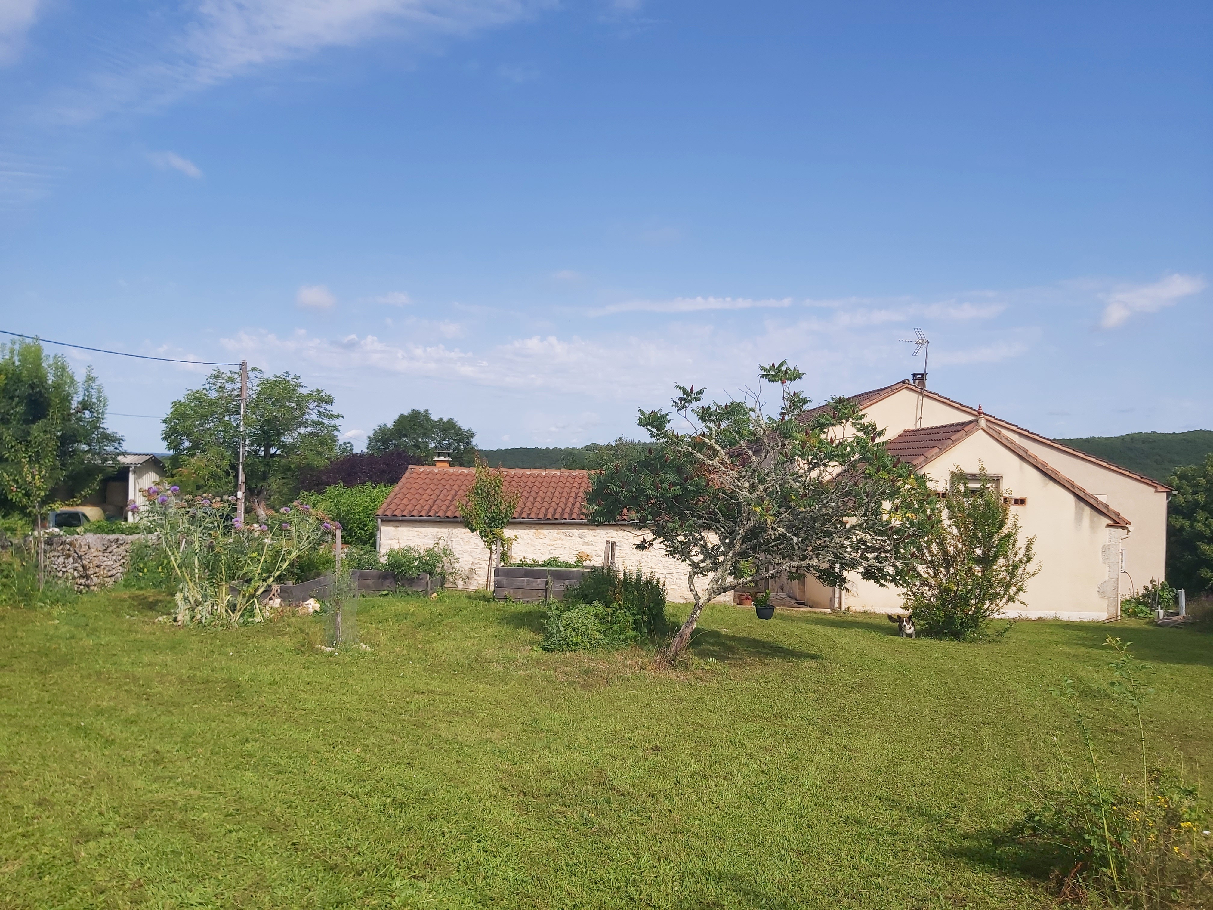 Finca