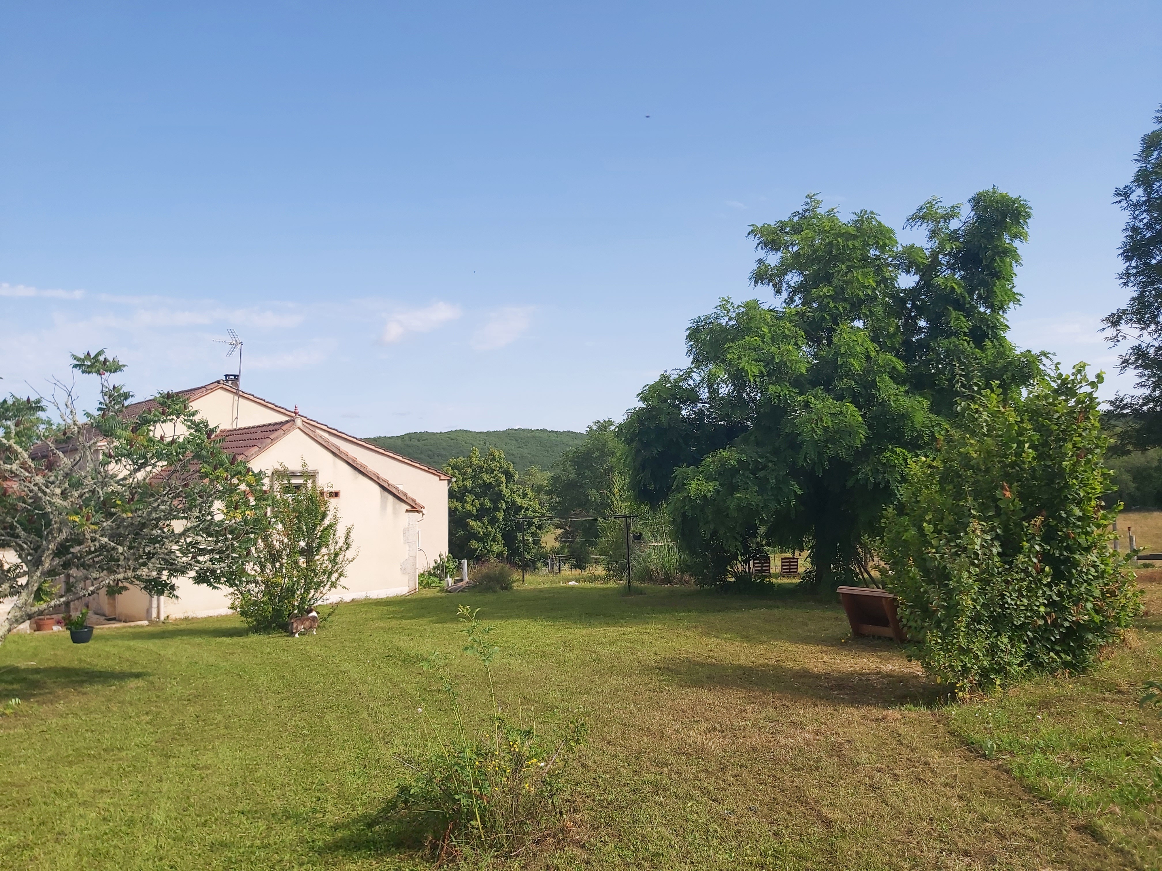 Finca