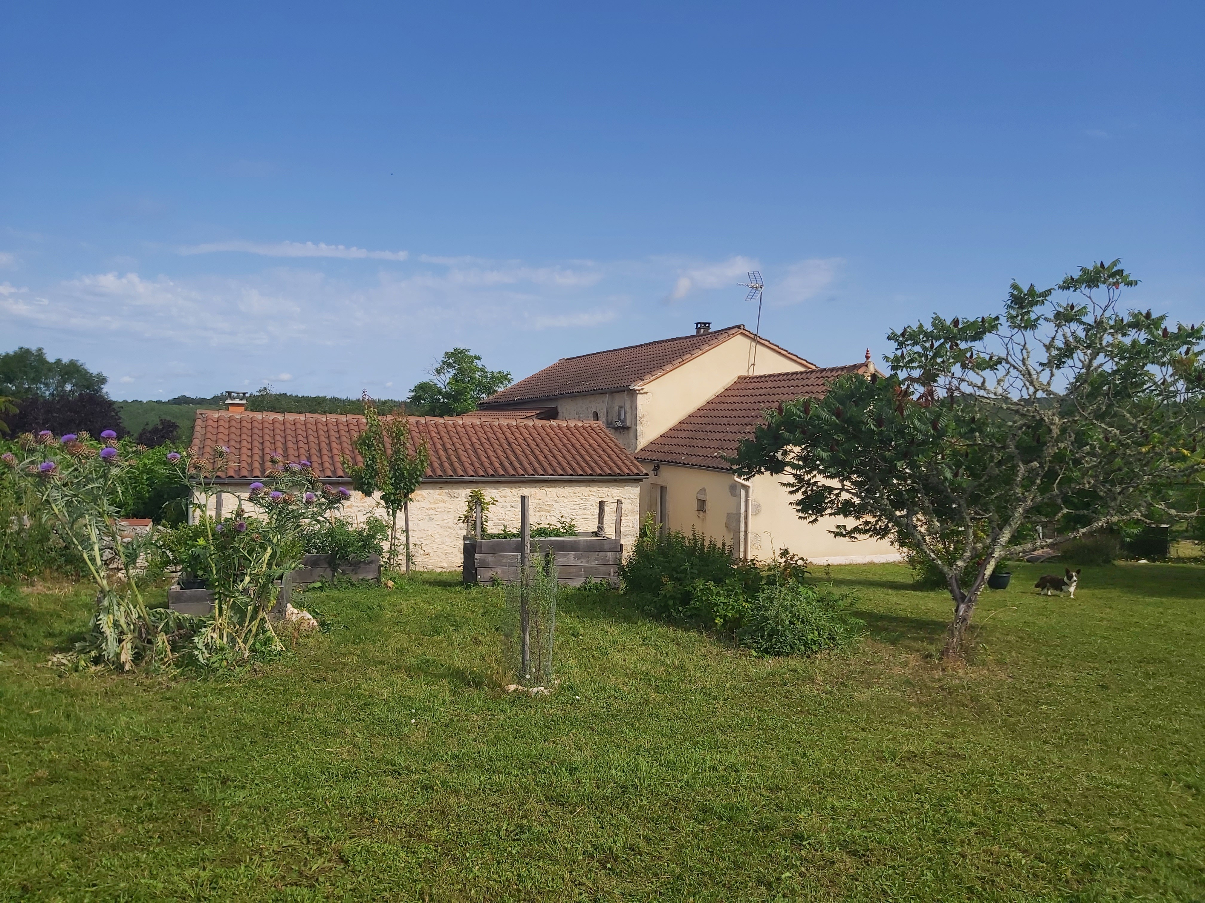 Finca