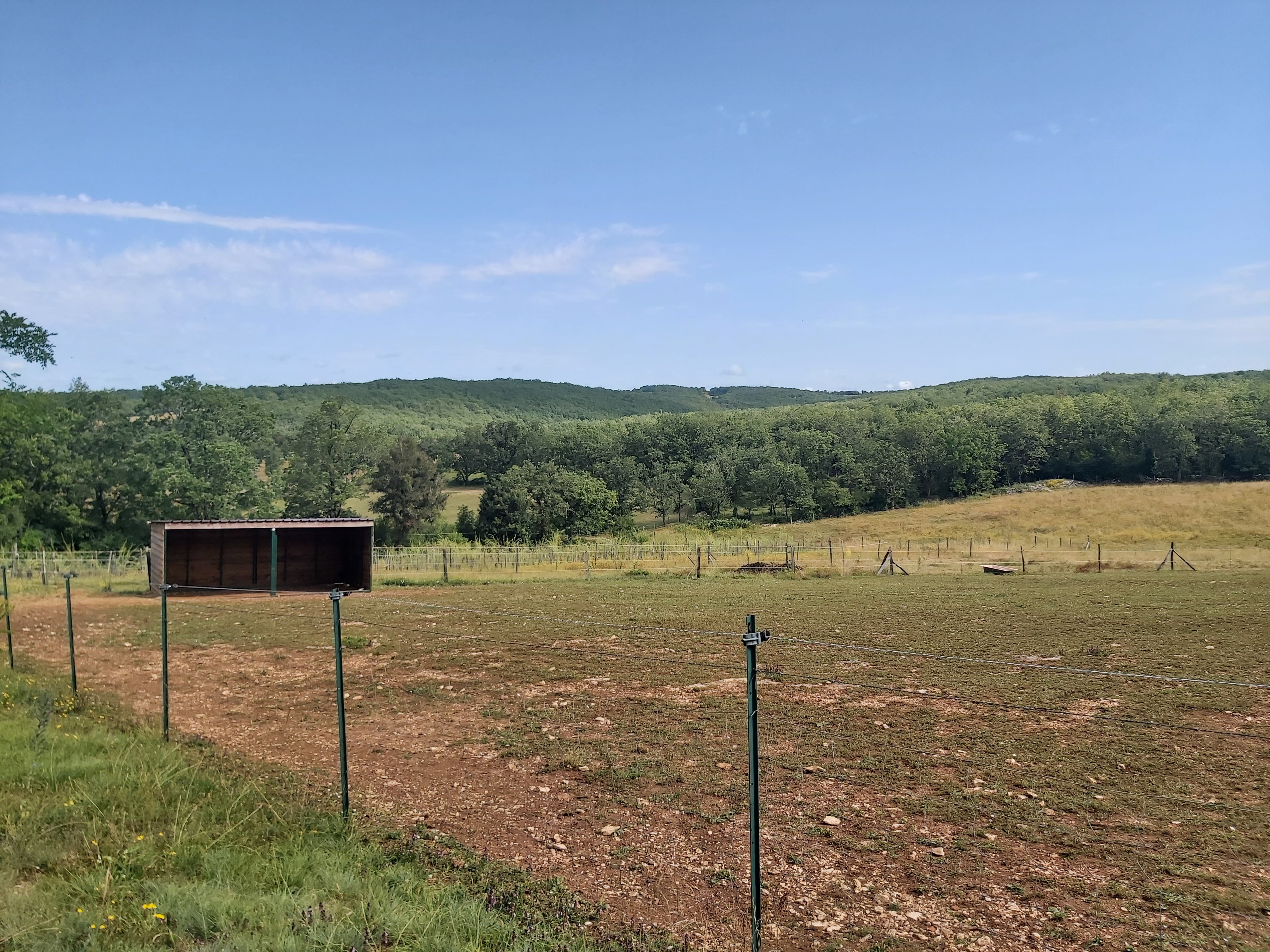 Prairie
