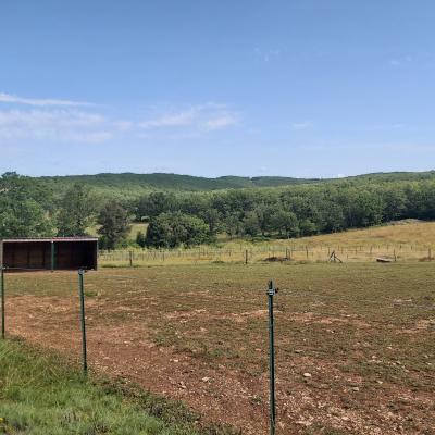 Prairie