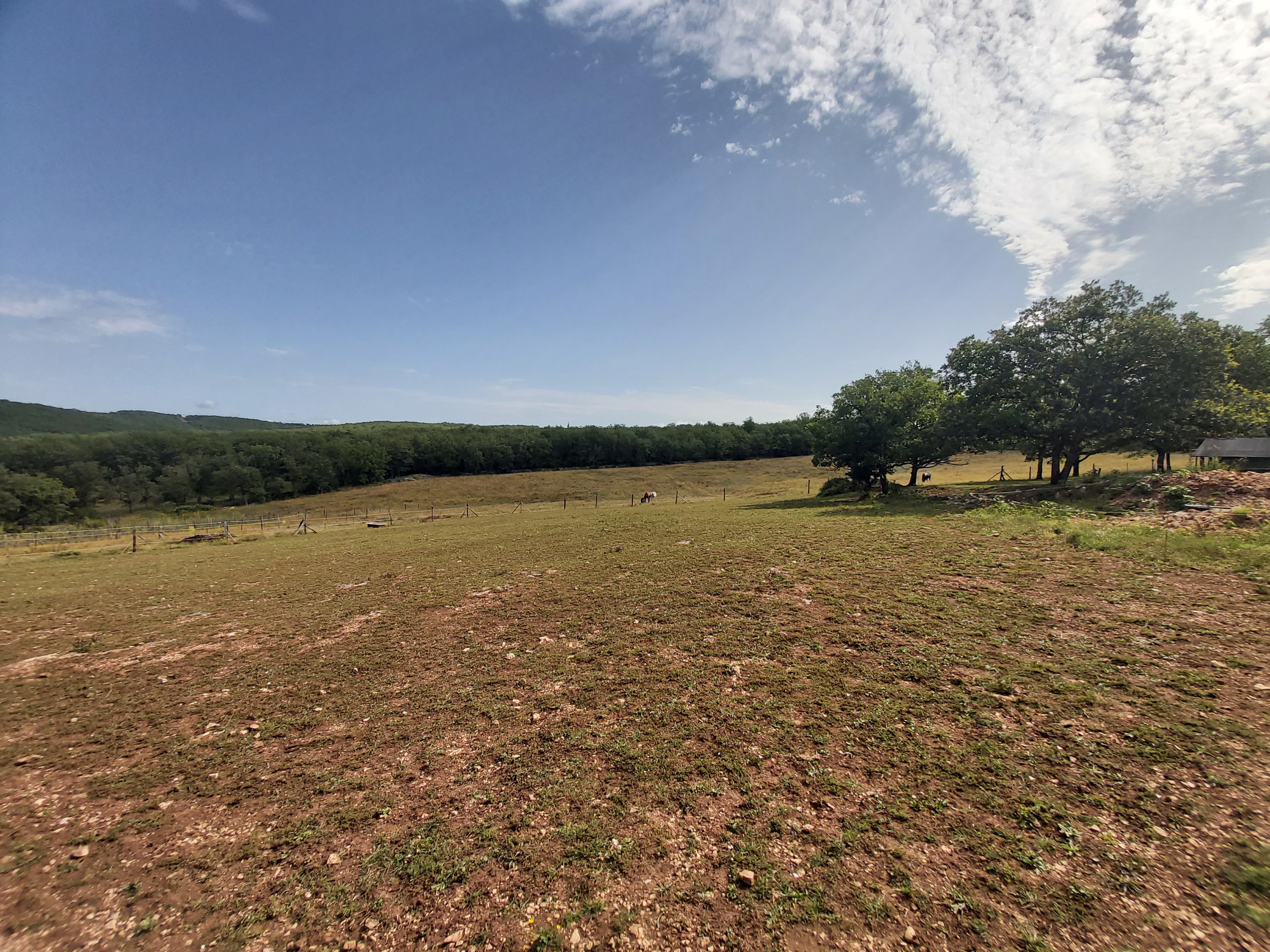 Prairie
