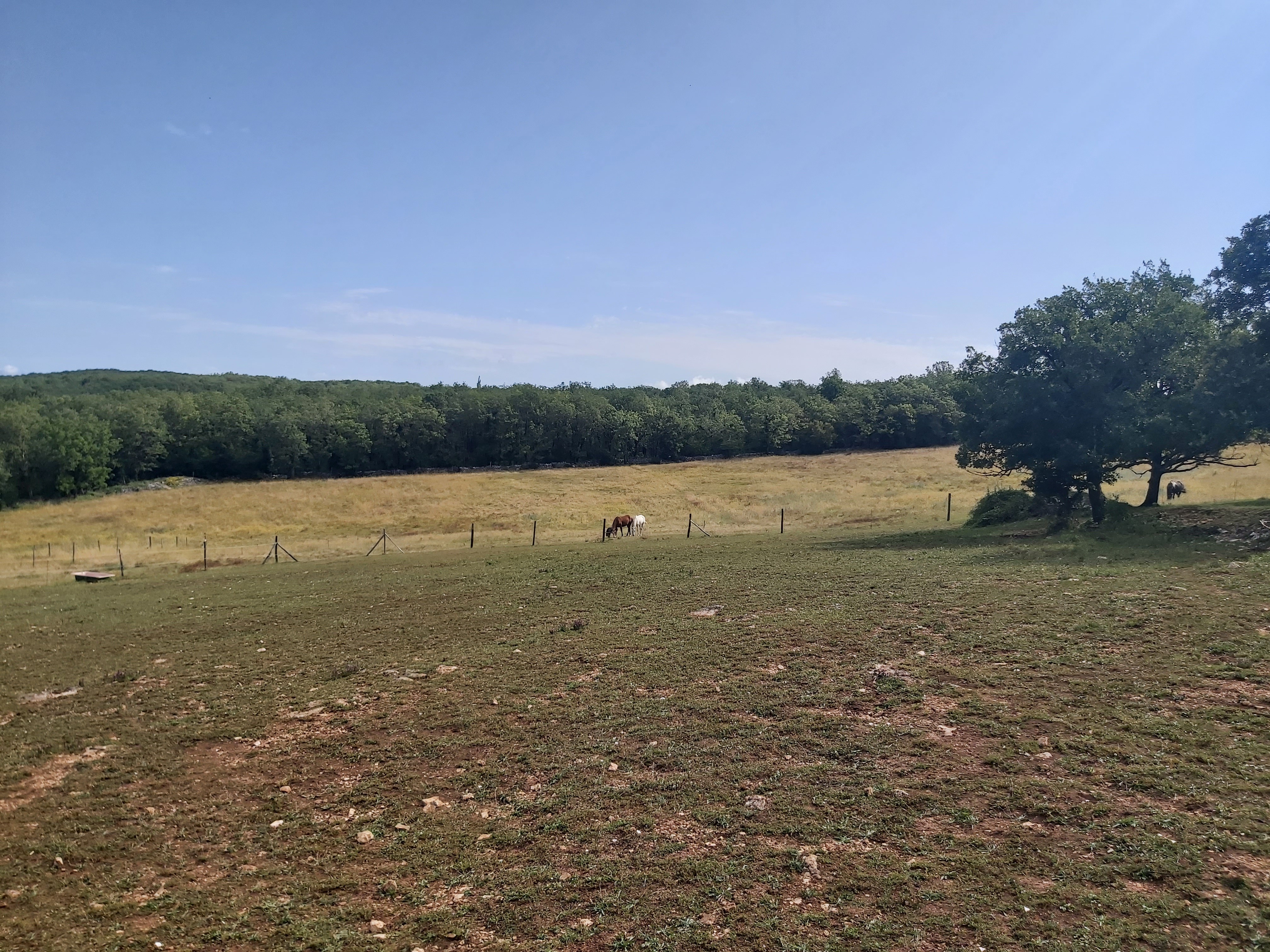 Prairie