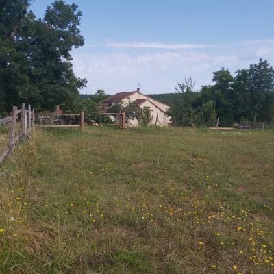 Finca